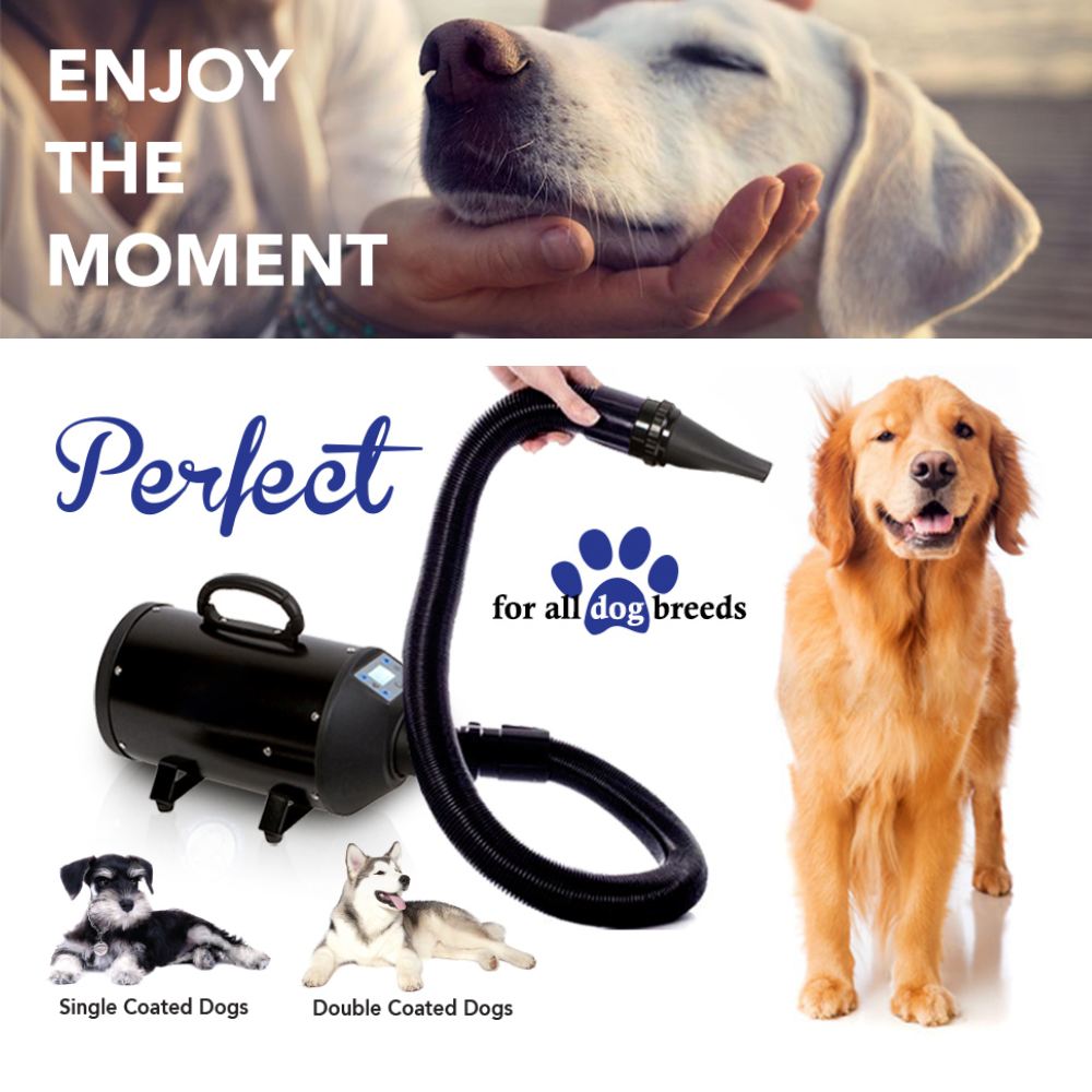 Pet Grooming Dryer: image 6