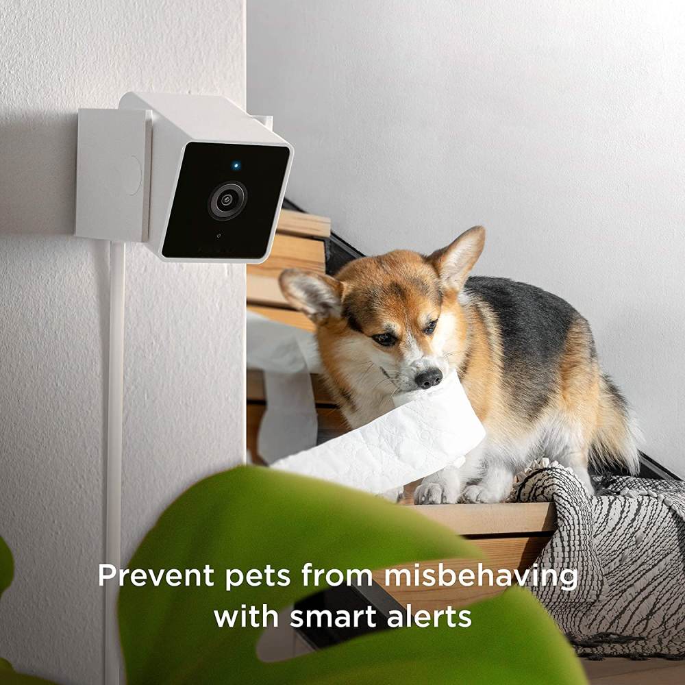 Pet Monitoring Camera: image 7
