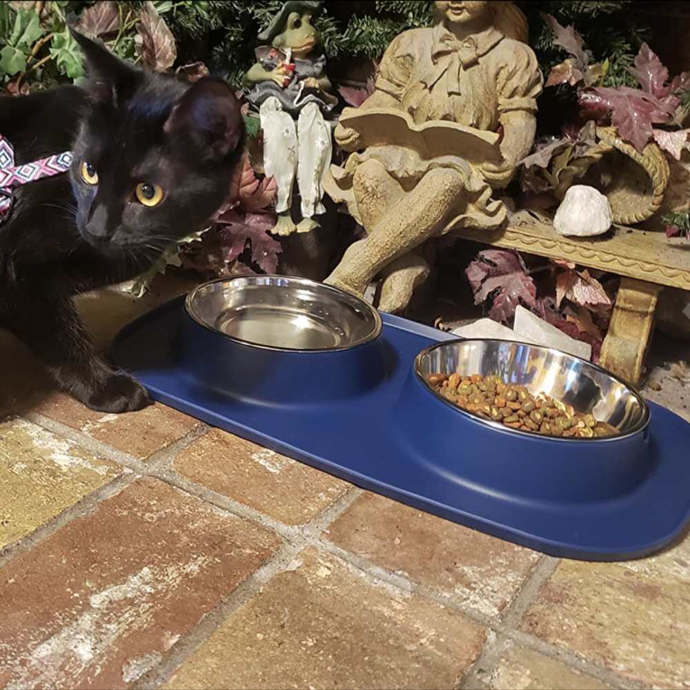 Slip Resistant Pet Bowls, Black: image 13