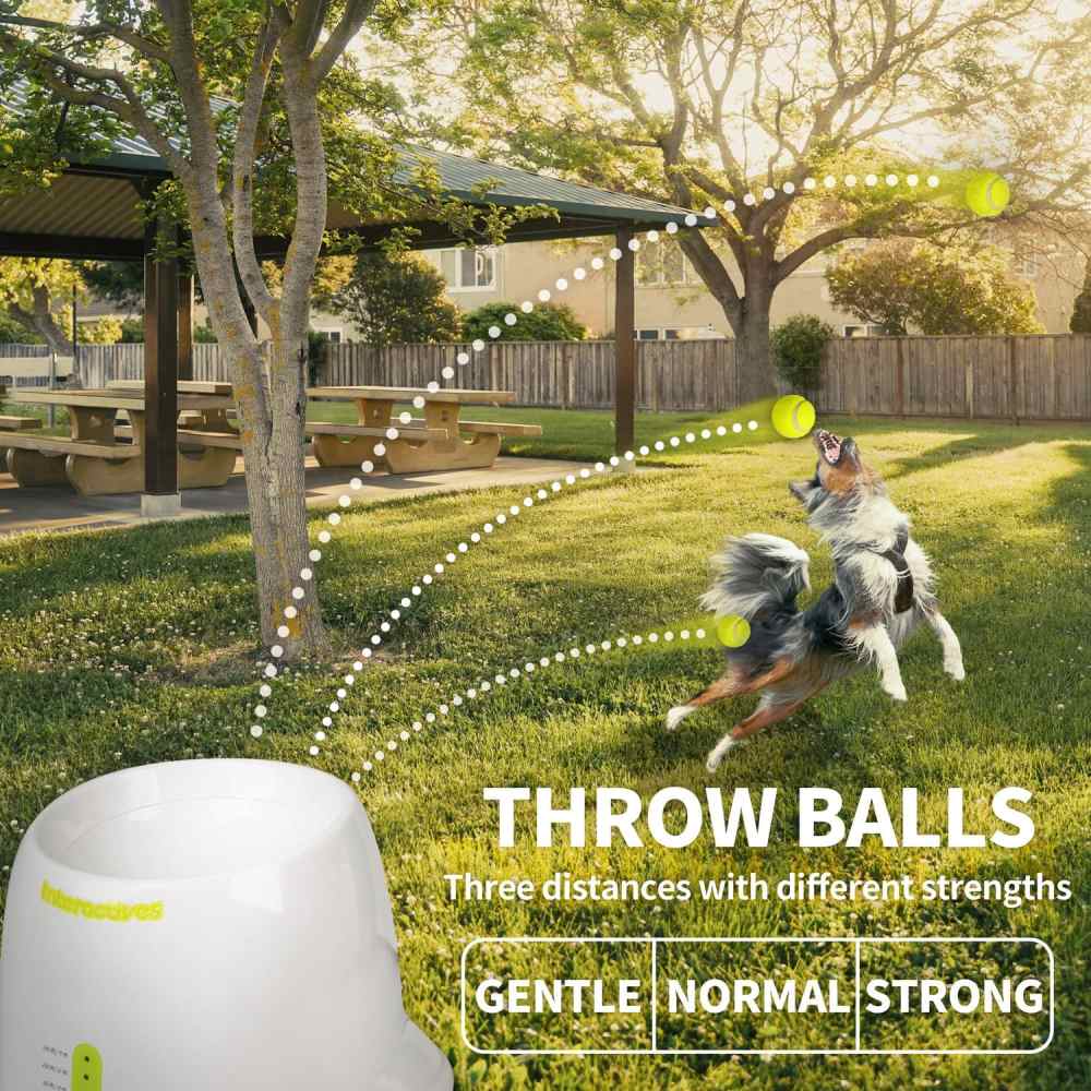 Automatic Dog Ball Launcher: image 8