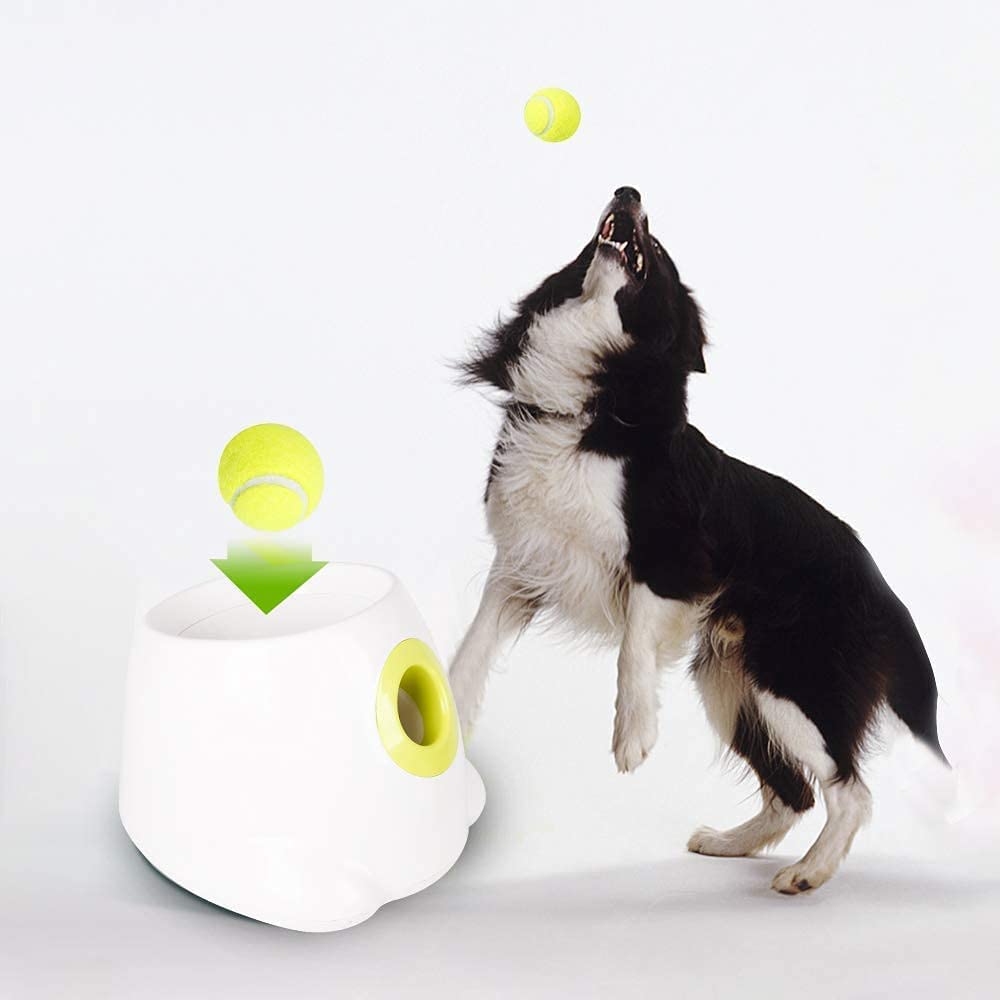 Automatic Dog Ball Launcher: image 10