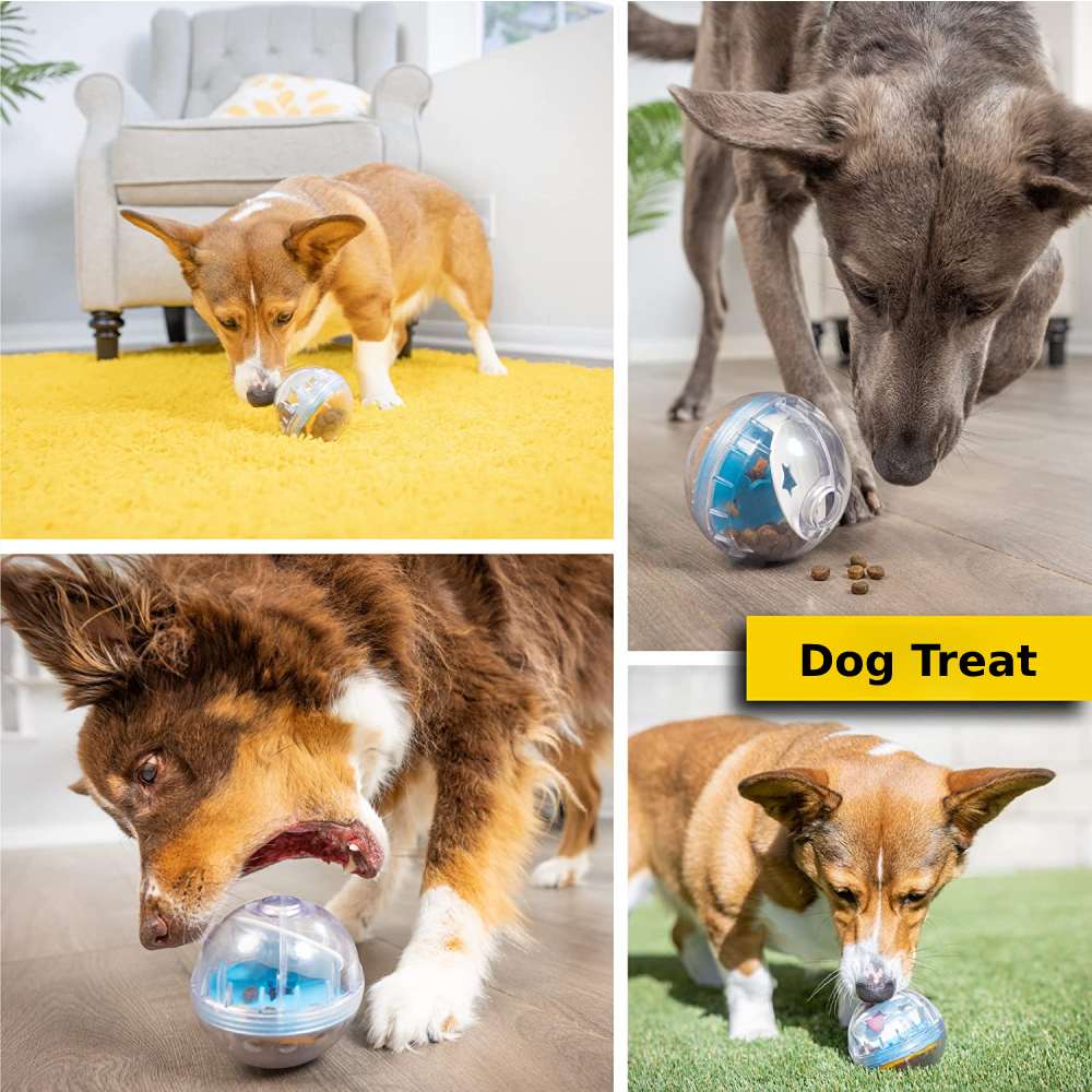 Dog Treat Ball, 10.2 cm (4 in): image 10