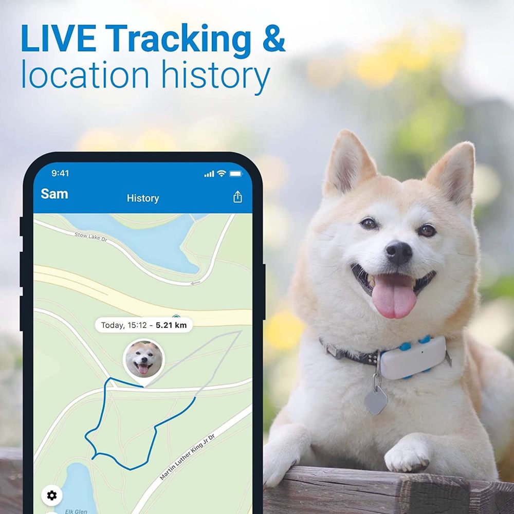 GPS Dog Tracker: image 6