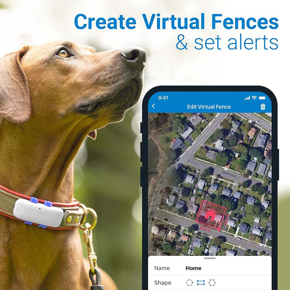 GPS Dog Tracker: image 7