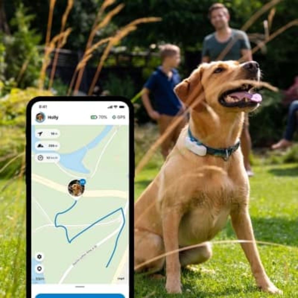 GPS Dog Tracker: image 10