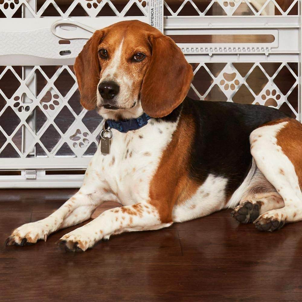 Portable Pet Gate: image 8