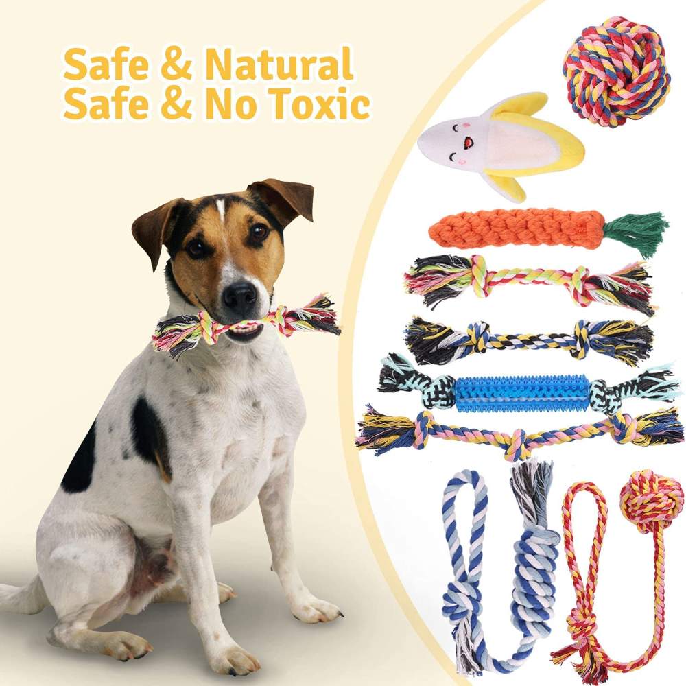 Puppy Dog Chew Toys: image 9