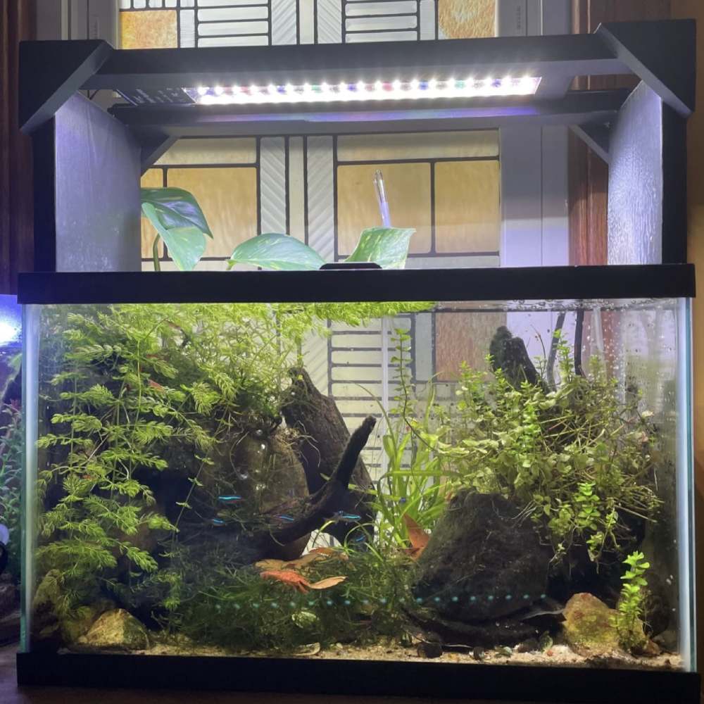 Plant Fish Tank Light