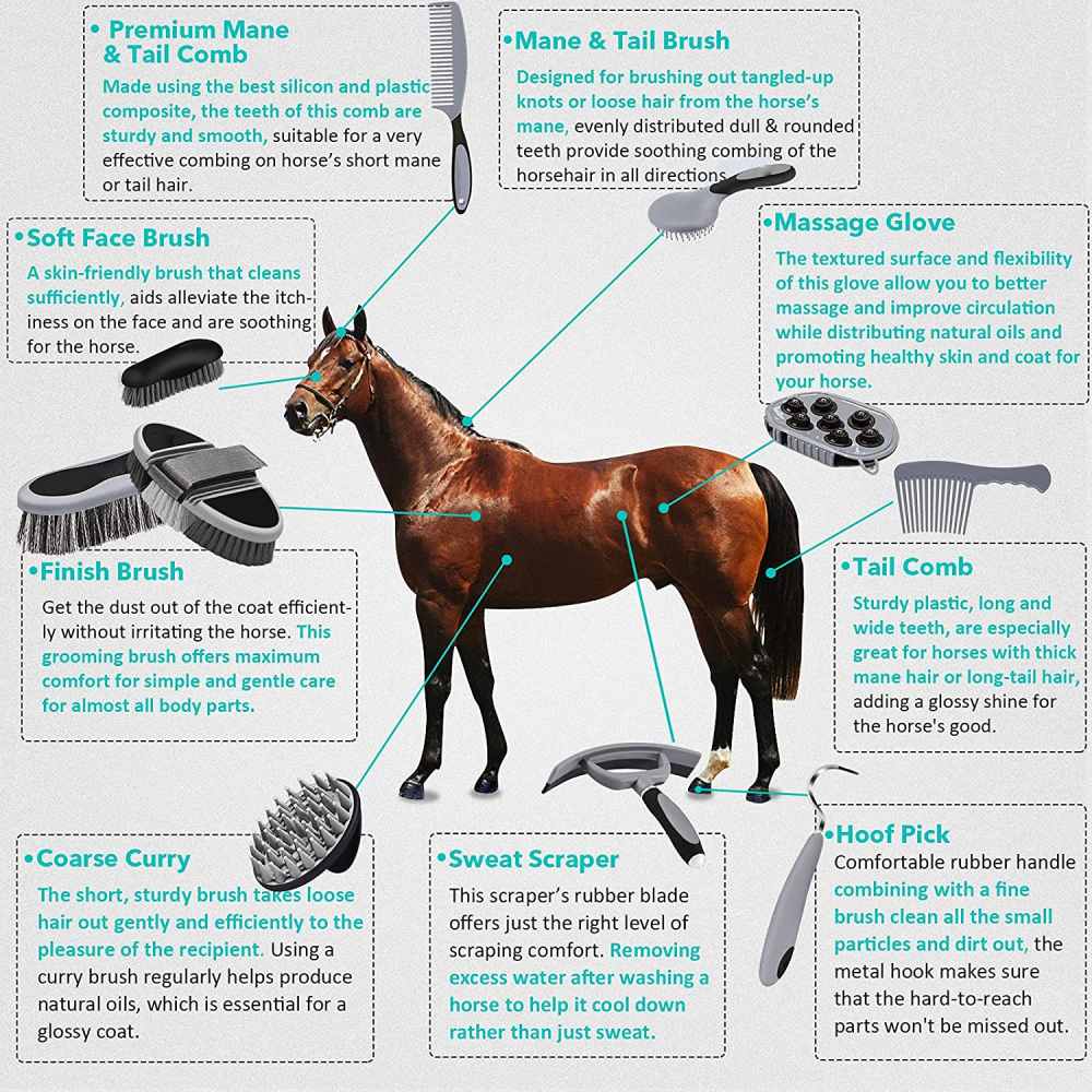 Horse Grooming Kit: image 5
