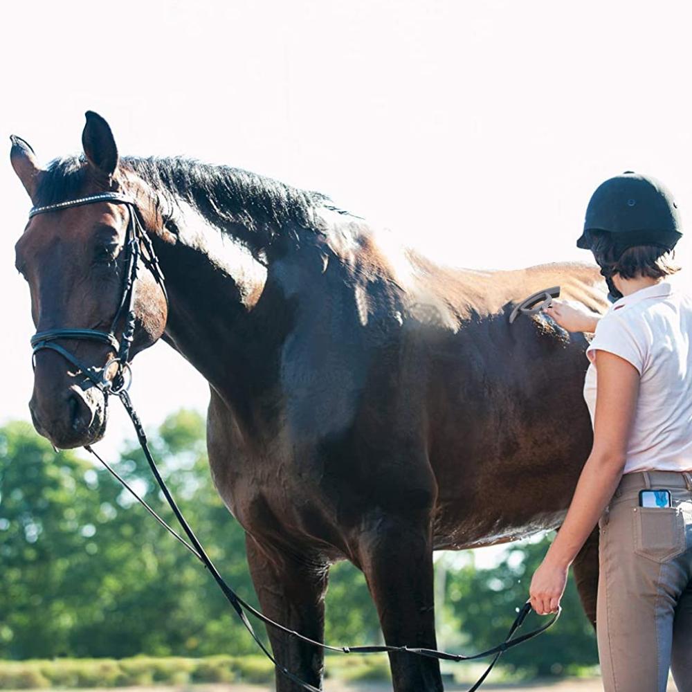 Horse Grooming Kit: image 7