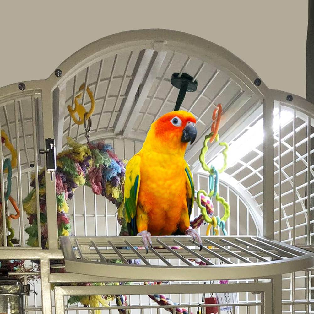 Bird Cage Light, Softbill Light, 61 cm (24 in): image 18
