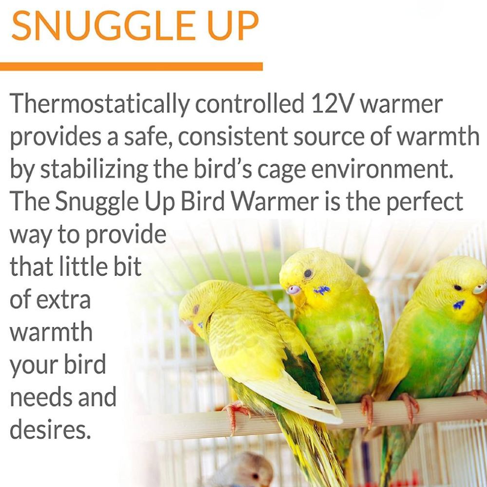 Bird Warmer, 17.78 x 10.16 cm (4 x 7 in): image 8