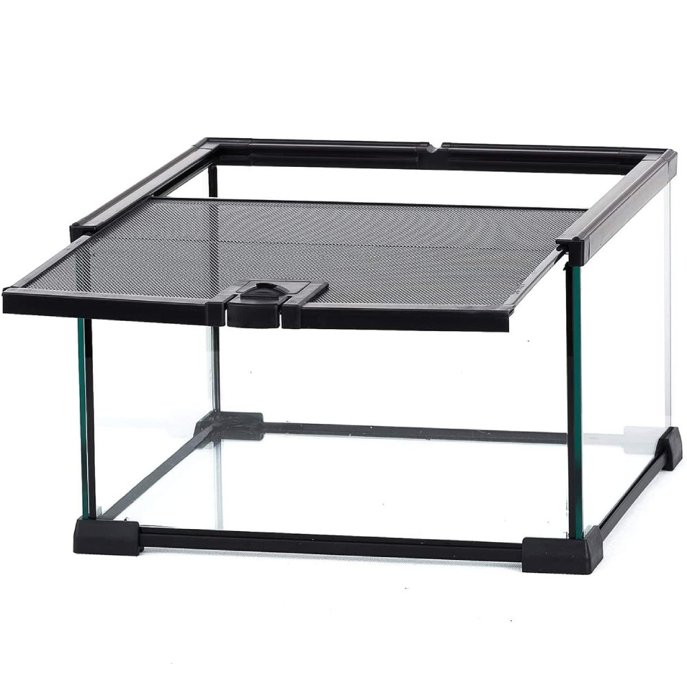 Mini Reptile Glass Terrarium Tank: image 5