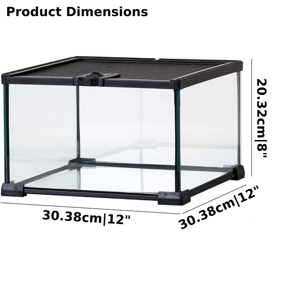 Mini Reptile Glass Terrarium Tank: image 8