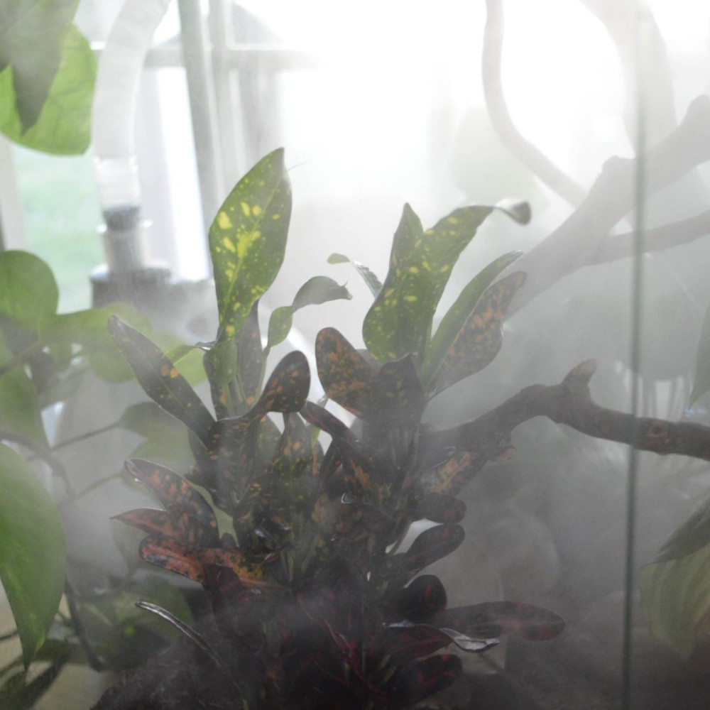 Reptile Humidifier: image 10