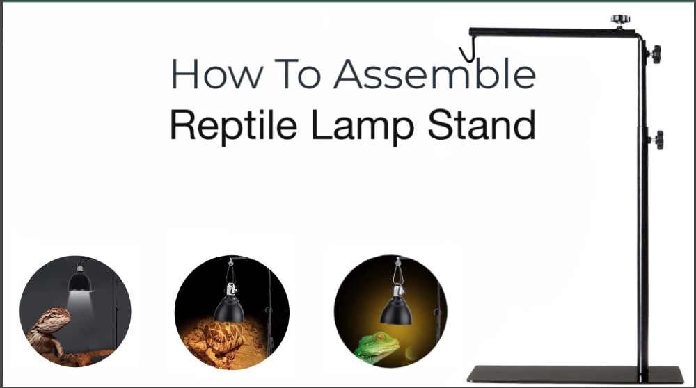 Reptile Lamp Stand: image 11