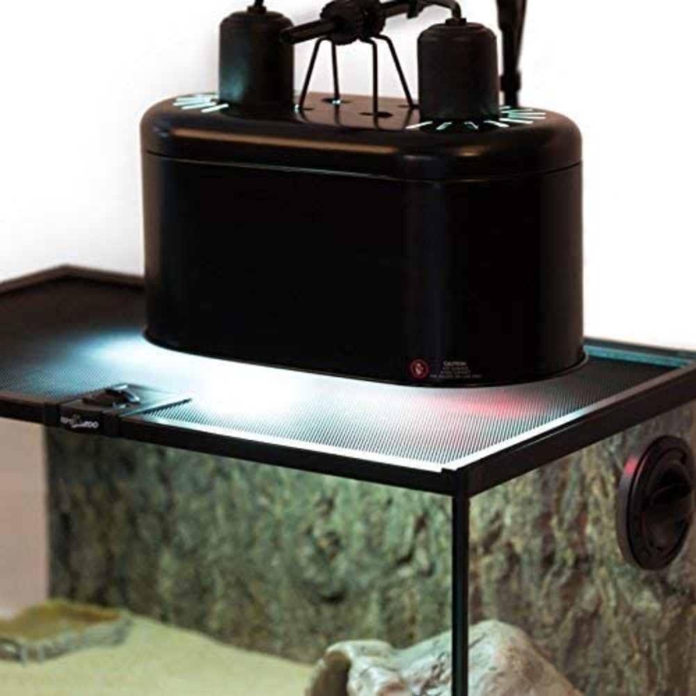 Reptile Light: image 12