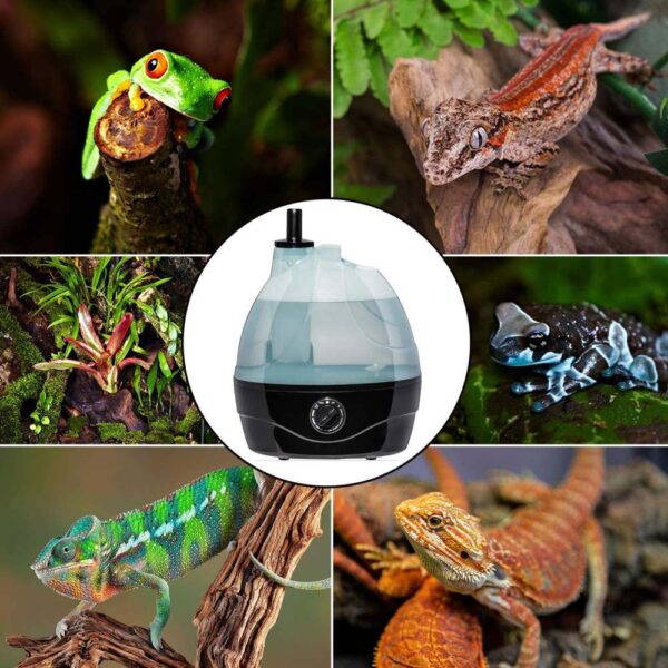 buy reptile humidifier online