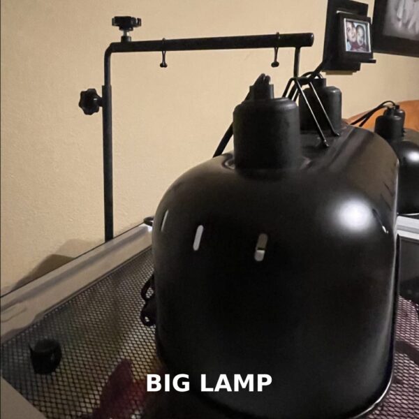 buy reptile lamp stand